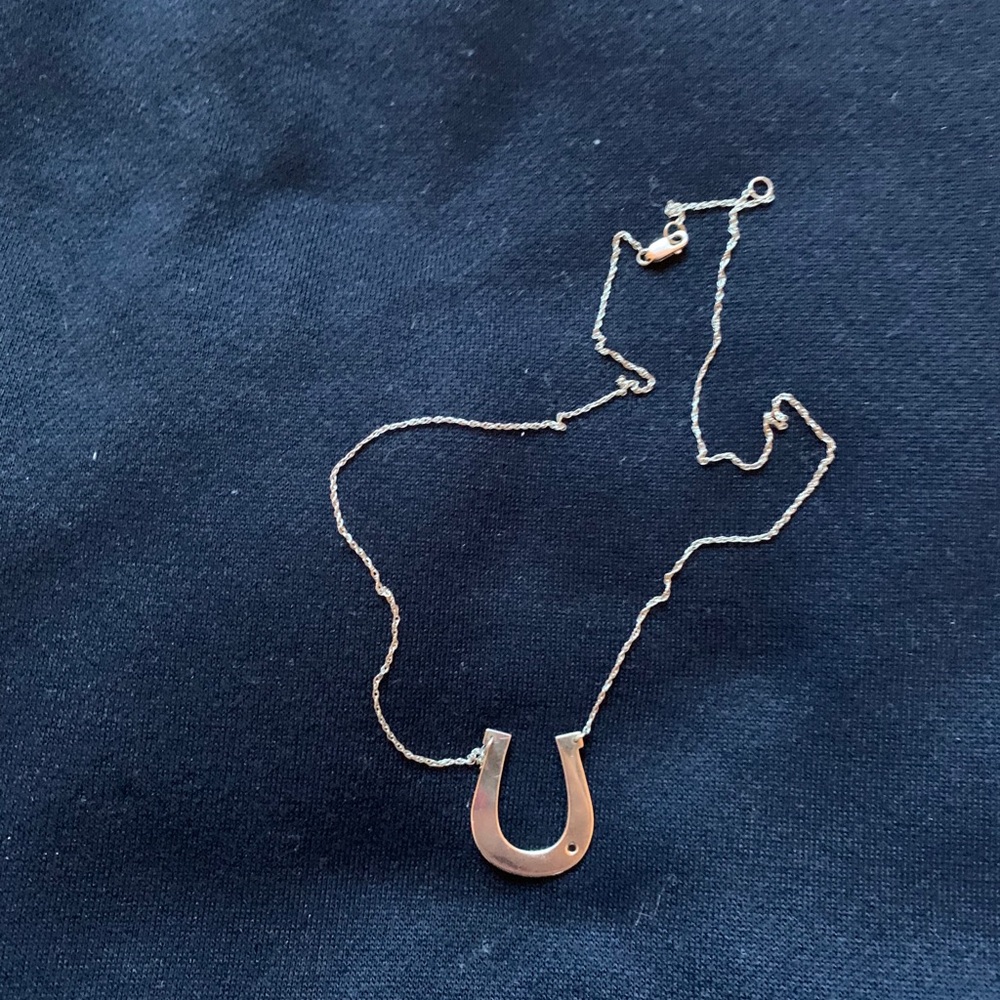 Horseshoe necklace